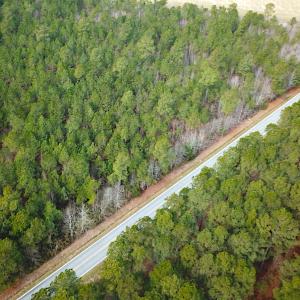 Photo #4 of SOLD property in Off Black Creek Rd, Sedley, VA 36.0 acres