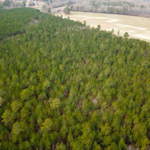 Photo #5 of SOLD property in Off Black Creek Rd, Sedley, VA 36.0 acres