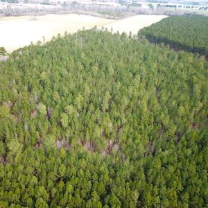 Photo #7 of SOLD property in Off Black Creek Rd, Sedley, VA 36.0 acres