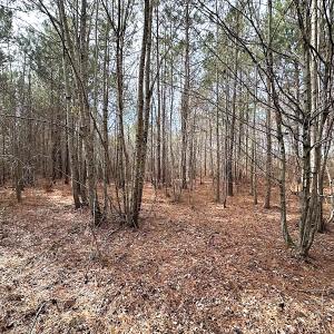 Photo #13 of SOLD property in Off Black Creek Rd, Sedley, VA 36.0 acres