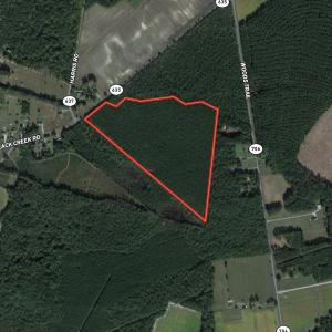 Photo #1 of SOLD property in Off Black Creek Rd, Sedley, VA 37.0 acres