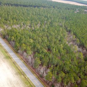 Photo #2 of SOLD property in Off Black Creek Rd, Sedley, VA 37.0 acres