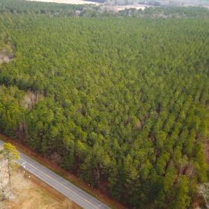Photo #3 of SOLD property in Off Black Creek Rd, Sedley, VA 37.0 acres