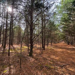 Photo #9 of SOLD property in Off Southern High School Road, Burlington, NC 6.0 acres