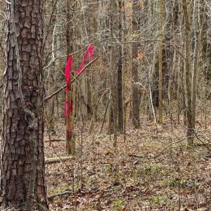 Photo #16 of SOLD property in Off Southern High School Road, Burlington, NC 6.0 acres