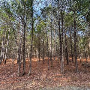 Photo #20 of SOLD property in Off Southern High School Road, Burlington, NC 6.0 acres