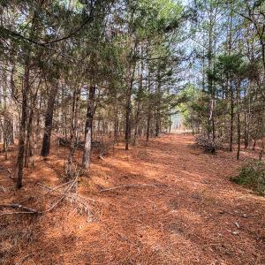 Photo #23 of SOLD property in Off Southern High School Road, Burlington, NC 6.0 acres