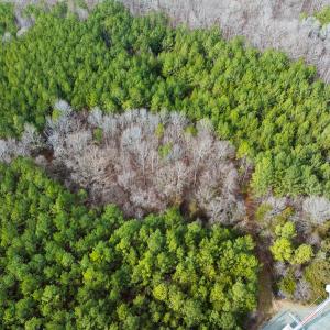 Photo #28 of SOLD property in Off Southern High School Road, Burlington, NC 6.0 acres