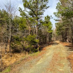 Photo #30 of SOLD property in Off Southern High School Road, Burlington, NC 6.0 acres