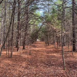Photo #39 of SOLD property in Off Southern High School Road, Burlington, NC 6.0 acres