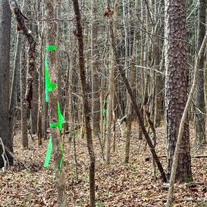 Photo #41 of SOLD property in Off Southern High School Road, Burlington, NC 6.0 acres