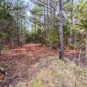 Photo #44 of SOLD property in Off Southern High School Road, Burlington, NC 6.0 acres