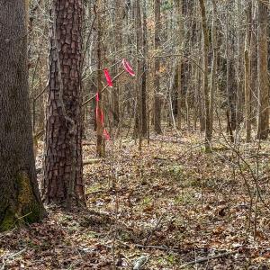 Photo #50 of SOLD property in Off Southern High School Road, Burlington, NC 6.0 acres
