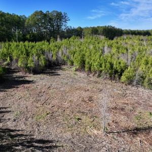 Photo #15 of SOLD property in Off Pine Grove Church Road, Eagle Springs, NC 11.6 acres