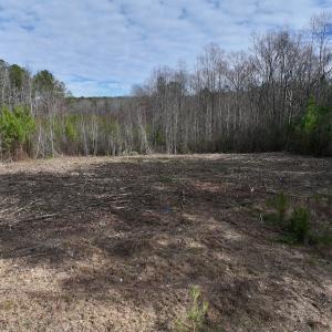 Photo #5 of SOLD property in Off Pine Grove Church Road, Eagle Springs, NC 11.6 acres