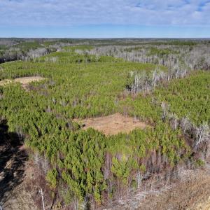 Photo #6 of SOLD property in Off Pine Grove Church Road, Eagle Springs, NC 11.6 acres