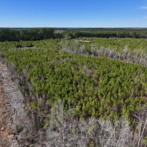 Photo #7 of SOLD property in Off Pine Grove Church Road, Eagle Springs, NC 11.6 acres