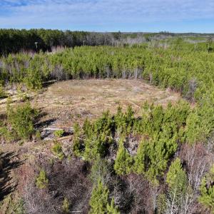 Photo #22 of SOLD property in Off Pine Grove Church Road, Eagle Springs, NC 11.6 acres
