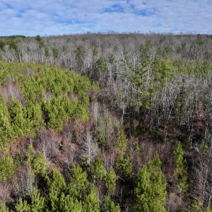Photo #23 of SOLD property in Off Pine Grove Church Road, Eagle Springs, NC 11.6 acres