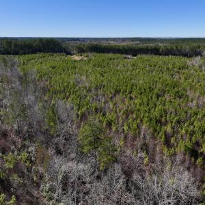 Photo #24 of SOLD property in Off Pine Grove Church Road, Eagle Springs, NC 11.6 acres