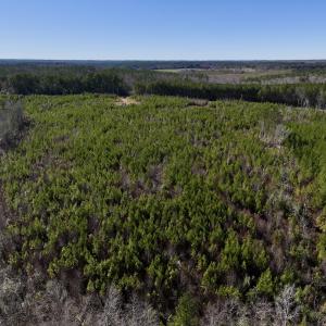 Photo #25 of SOLD property in Off Pine Grove Church Road, Eagle Springs, NC 11.6 acres