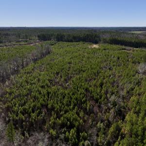 Photo #26 of SOLD property in Off Pine Grove Church Road, Eagle Springs, NC 11.6 acres