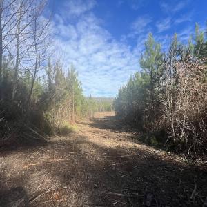 Photo #28 of SOLD property in Off Pine Grove Church Road, Eagle Springs, NC 11.6 acres