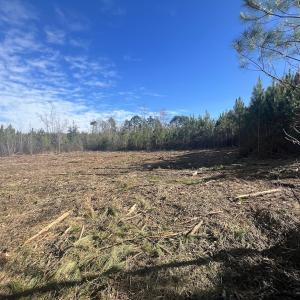 Photo #30 of SOLD property in Off Pine Grove Church Road, Eagle Springs, NC 11.6 acres
