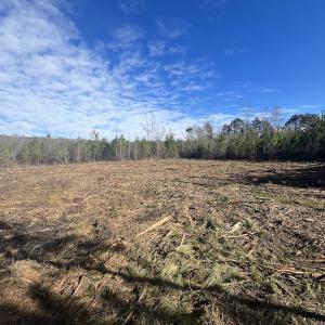 Photo #31 of SOLD property in Off Pine Grove Church Road, Eagle Springs, NC 11.6 acres