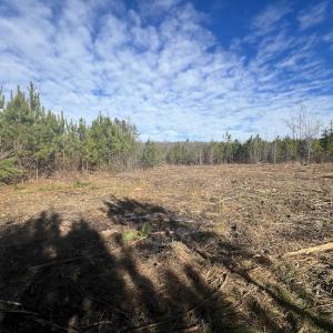 Photo #32 of SOLD property in Off Pine Grove Church Road, Eagle Springs, NC 11.6 acres