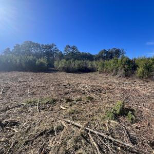 Photo #33 of SOLD property in Off Pine Grove Church Road, Eagle Springs, NC 11.6 acres