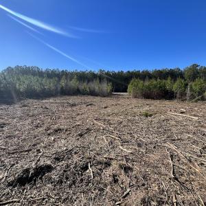 Photo #12 of SOLD property in Off Pine Grove Church Road, Eagle Springs, NC 11.5 acres