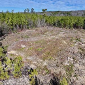 Photo #3 of SOLD property in Off Pine Grove Church Road, Eagle Springs, NC 11.5 acres