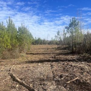 Photo #8 of SOLD property in Off Pine Grove Church Road, Eagle Springs, NC 11.5 acres