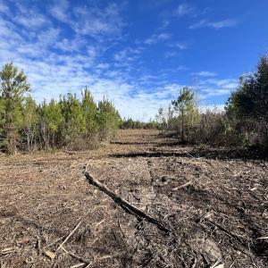 Photo #9 of SOLD property in Off Pine Grove Church Road, Eagle Springs, NC 11.5 acres