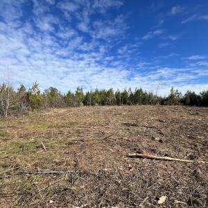 Photo #10 of SOLD property in Off Pine Grove Church Road, Eagle Springs, NC 11.5 acres