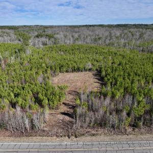 Photo #2 of SOLD property in Off Pine Grove Church Road, Eagle Springs, NC 11.5 acres
