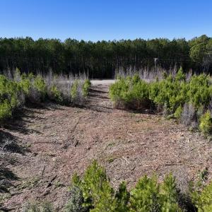 Photo #11 of SOLD property in Off Pine Grove Church Road, Eagle Springs, NC 11.5 acres