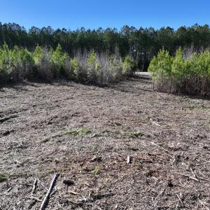 Photo #12 of SOLD property in Off Pine Grove Church Road, Eagle Springs, NC 11.5 acres
