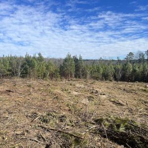 Photo #19 of SOLD property in Off Pine Grove Church Road, Eagle Springs, NC 11.5 acres