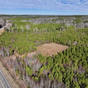 Photo #3 of SOLD property in Off Pine Grove Church Road, Eagle Springs, NC 11.5 acres