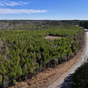 Photo #9 of SOLD property in Off Pine Grove Church Road, Eagle Springs, NC 11.5 acres