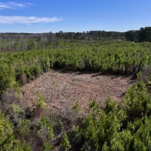 Photo #10 of SOLD property in Off Pine Grove Church Road, Eagle Springs, NC 11.5 acres