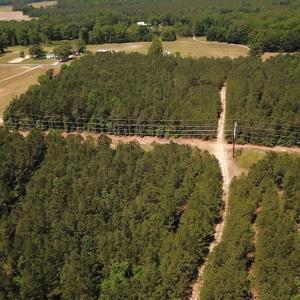 Photo #2 of SOLD property in Off Moores Ferry Rd, Emporia, VA 145.0 acres
