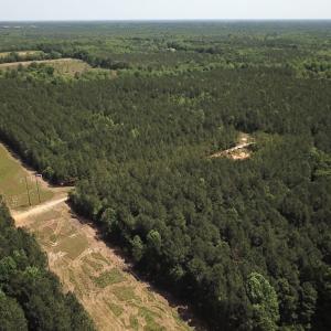 Photo #5 of SOLD property in Off Moores Ferry Rd, Emporia, VA 145.0 acres