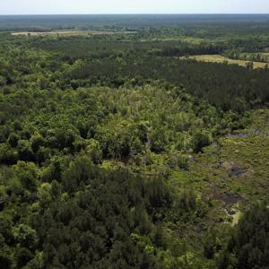 Photo #10 of SOLD property in Off Moores Ferry Rd, Emporia, VA 145.0 acres
