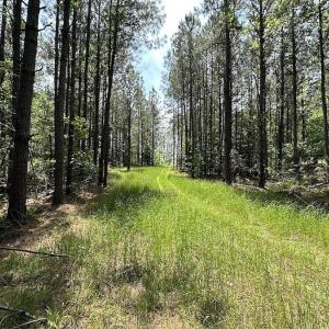 Photo #12 of SOLD property in Off Moores Ferry Rd, Emporia, VA 145.0 acres