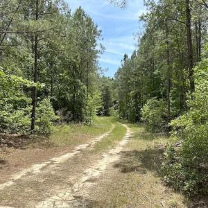 Photo #15 of SOLD property in Off Moores Ferry Rd, Emporia, VA 145.0 acres