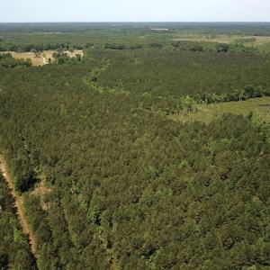 Photo #16 of SOLD property in Off Moores Ferry Rd, Emporia, VA 145.0 acres