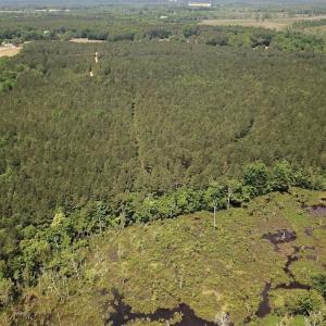 Photo #20 of SOLD property in Off Moores Ferry Rd, Emporia, VA 145.0 acres